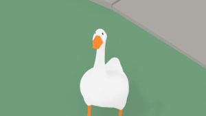 This is a goose