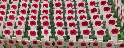 Remembrance poppies on stars of David