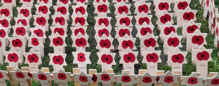 Remembrance poppies on stars of David