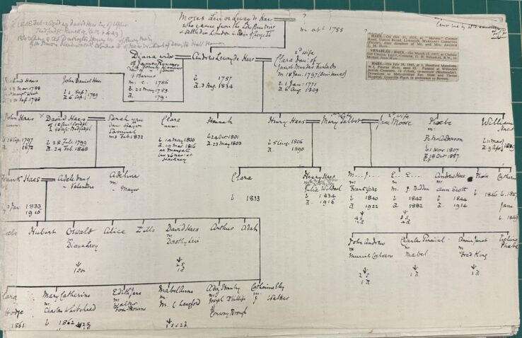 A diagram of a family tree drawn freehand in black ink